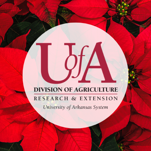 UADA poinsettia profile pic
