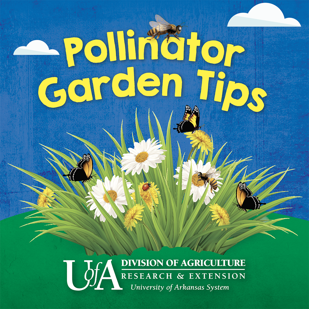 pollinator garden tips