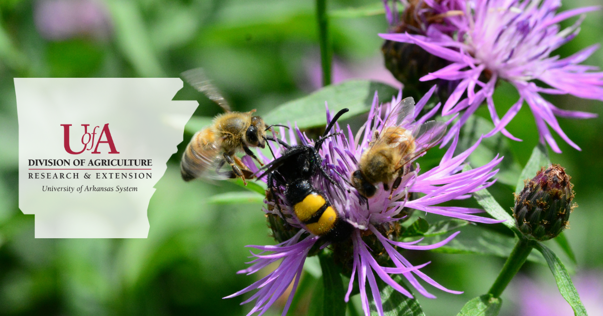 UADA pollinators cover photo