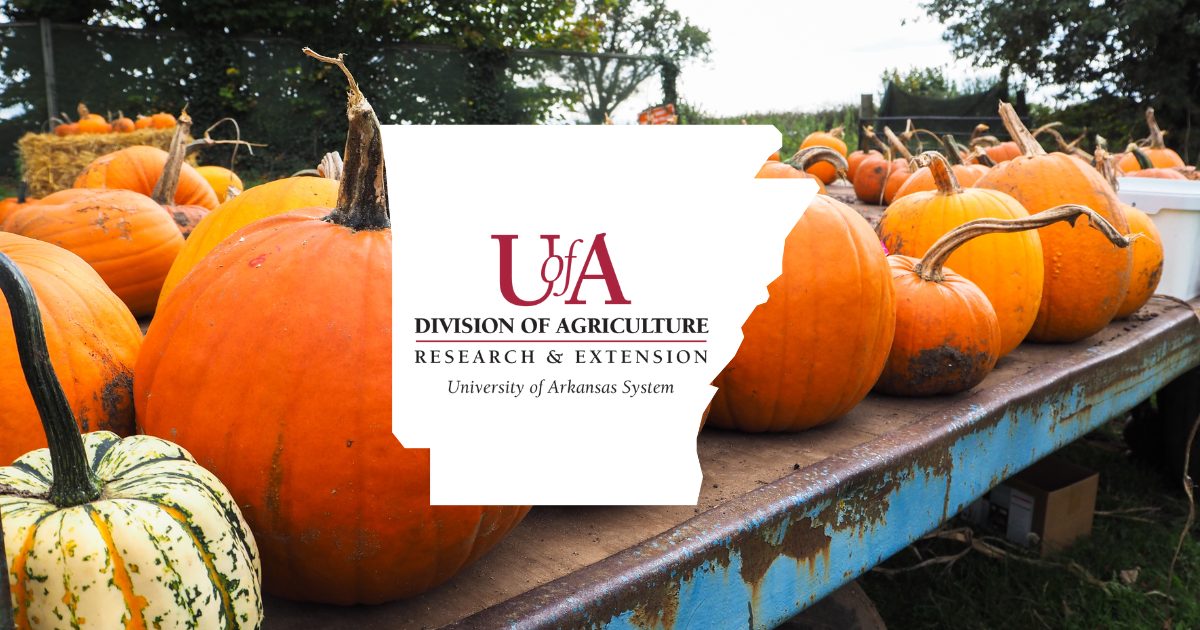UADA pumpkins cover photo