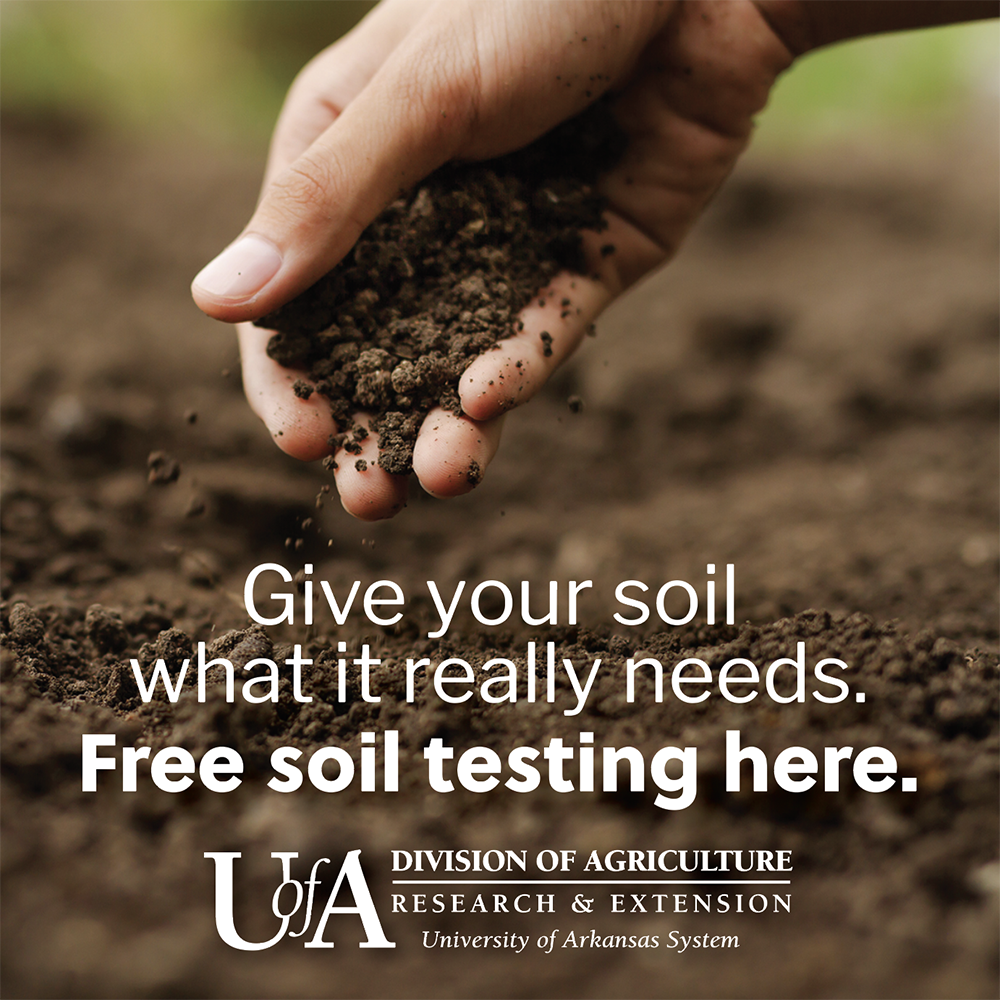 give your soil what it needs. free soil testing here