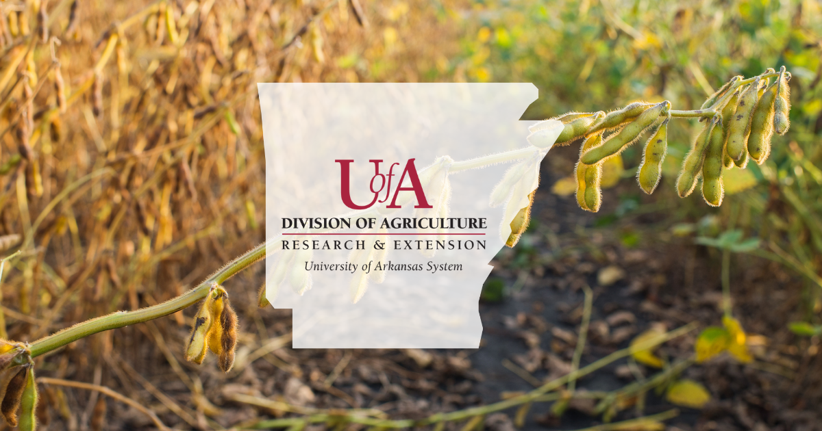 UADA soybeans cover photo