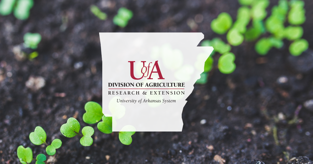 UADA plants sprouting cover photo