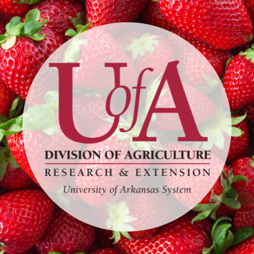 UADA strawberry profile pic