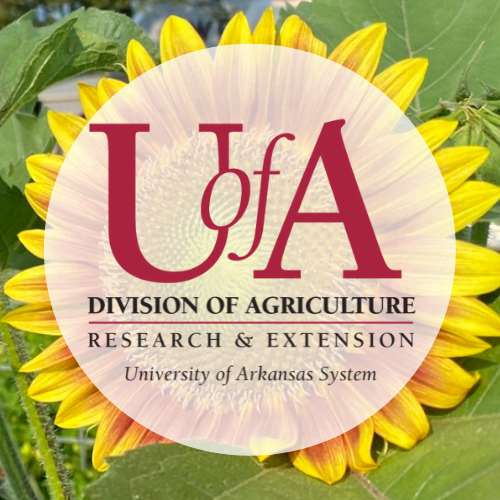 UADA sunflower profile pic