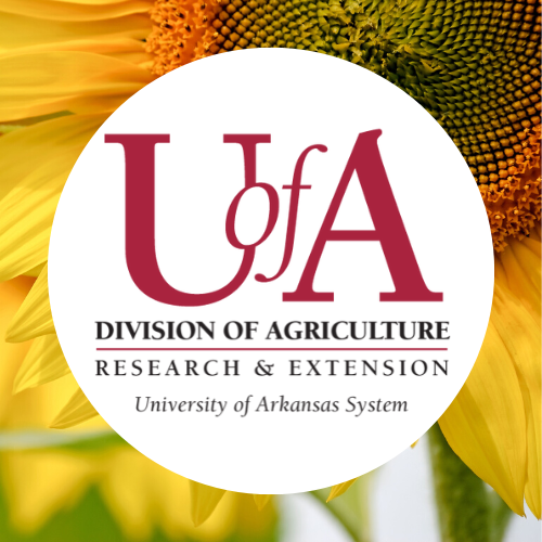 UADA sunflower 2 profile pic