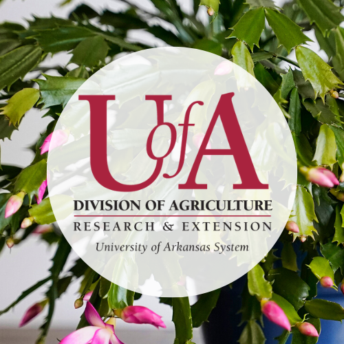UADA thanksgiving cactus profile pic
