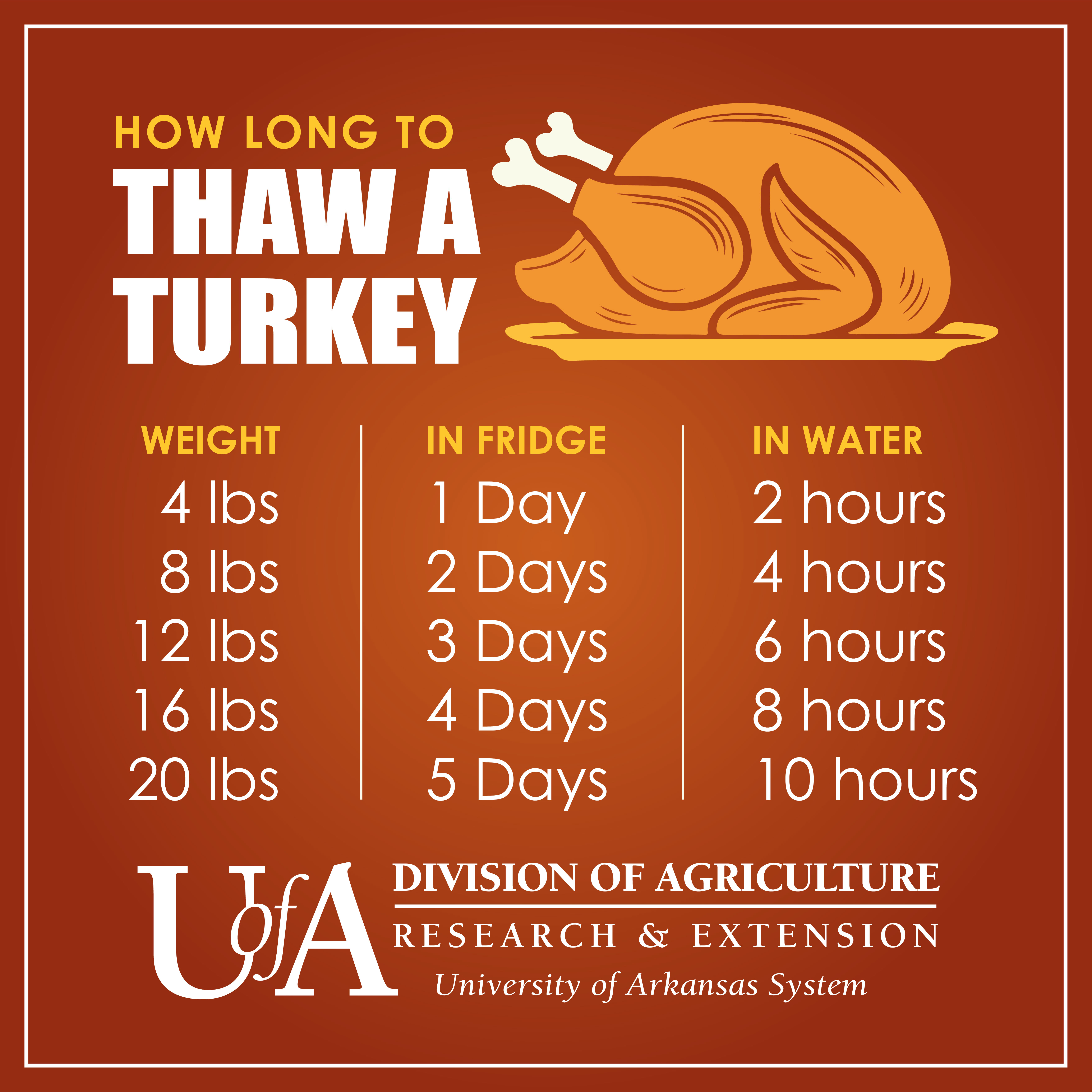 Thawing Turkey