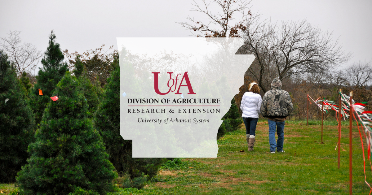 UADA tree farm cover photo
