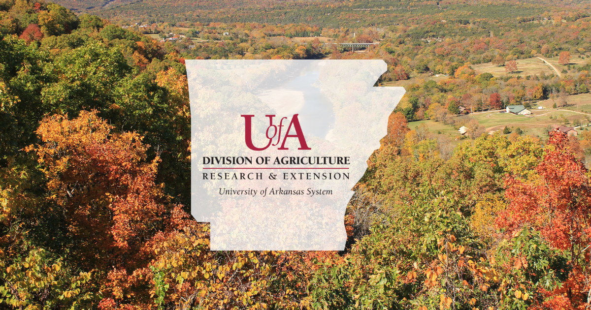 UADA trees in fall cover photo