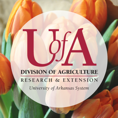 UADA tulips profile pic
