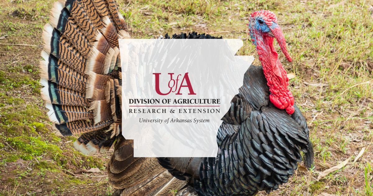 UADA turkey cover photo