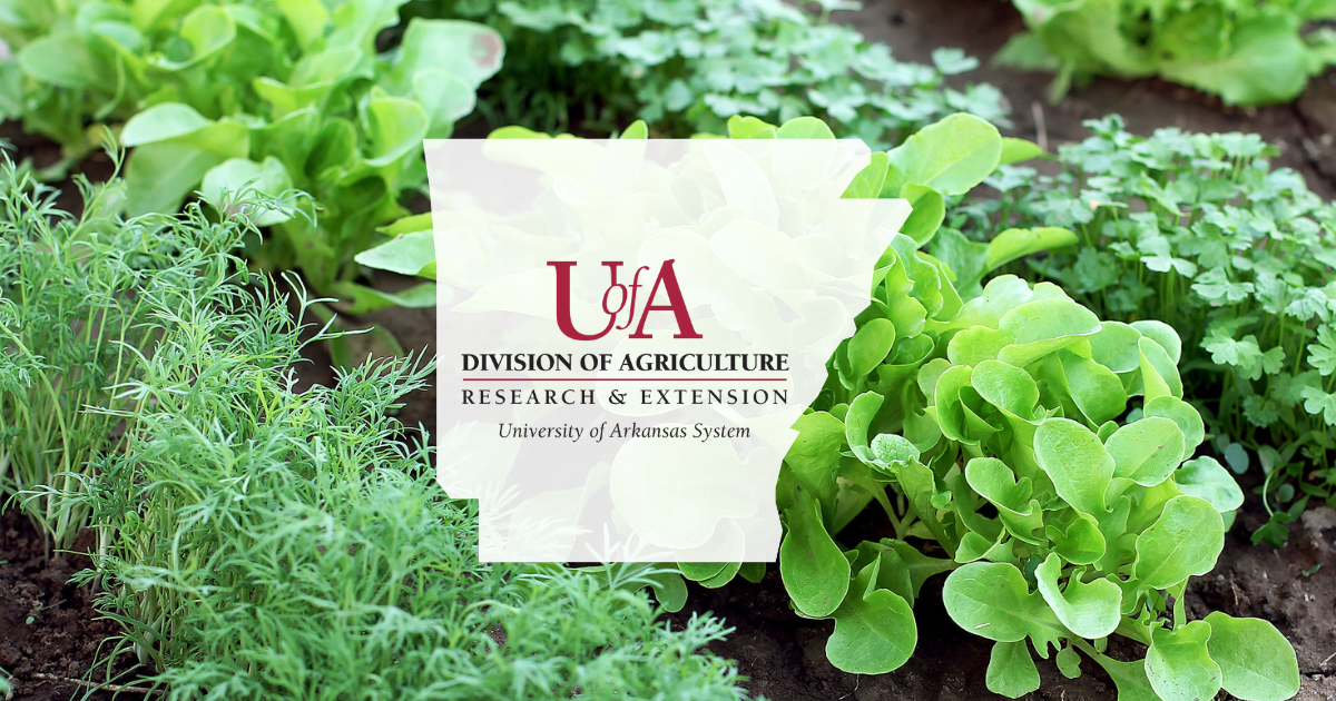 UADA vegetable gardening cover photo