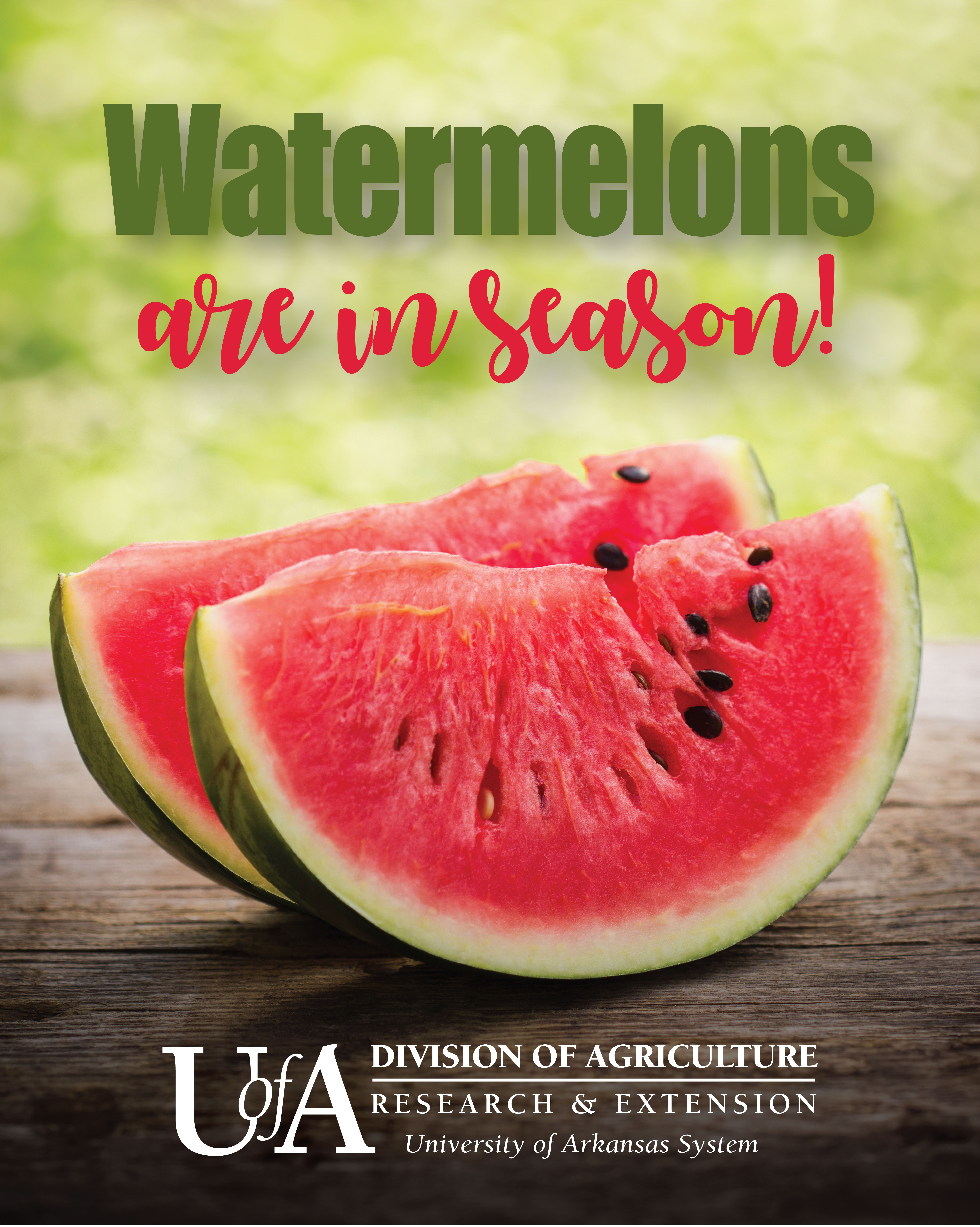 Watermelon Season