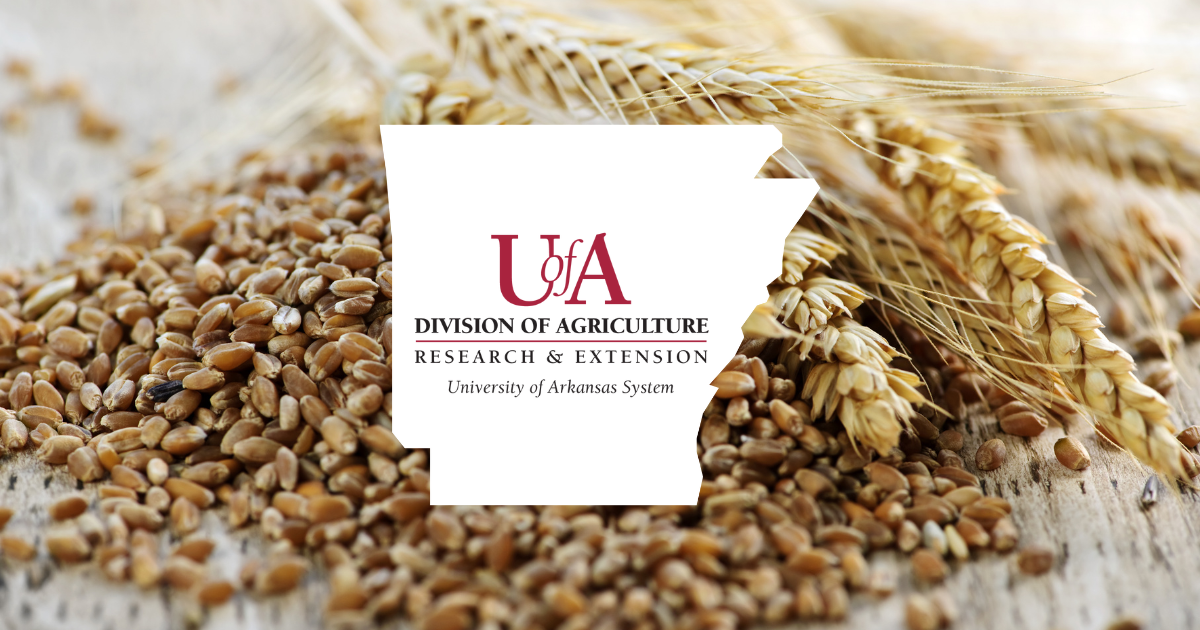 UADA whole grains cover photo