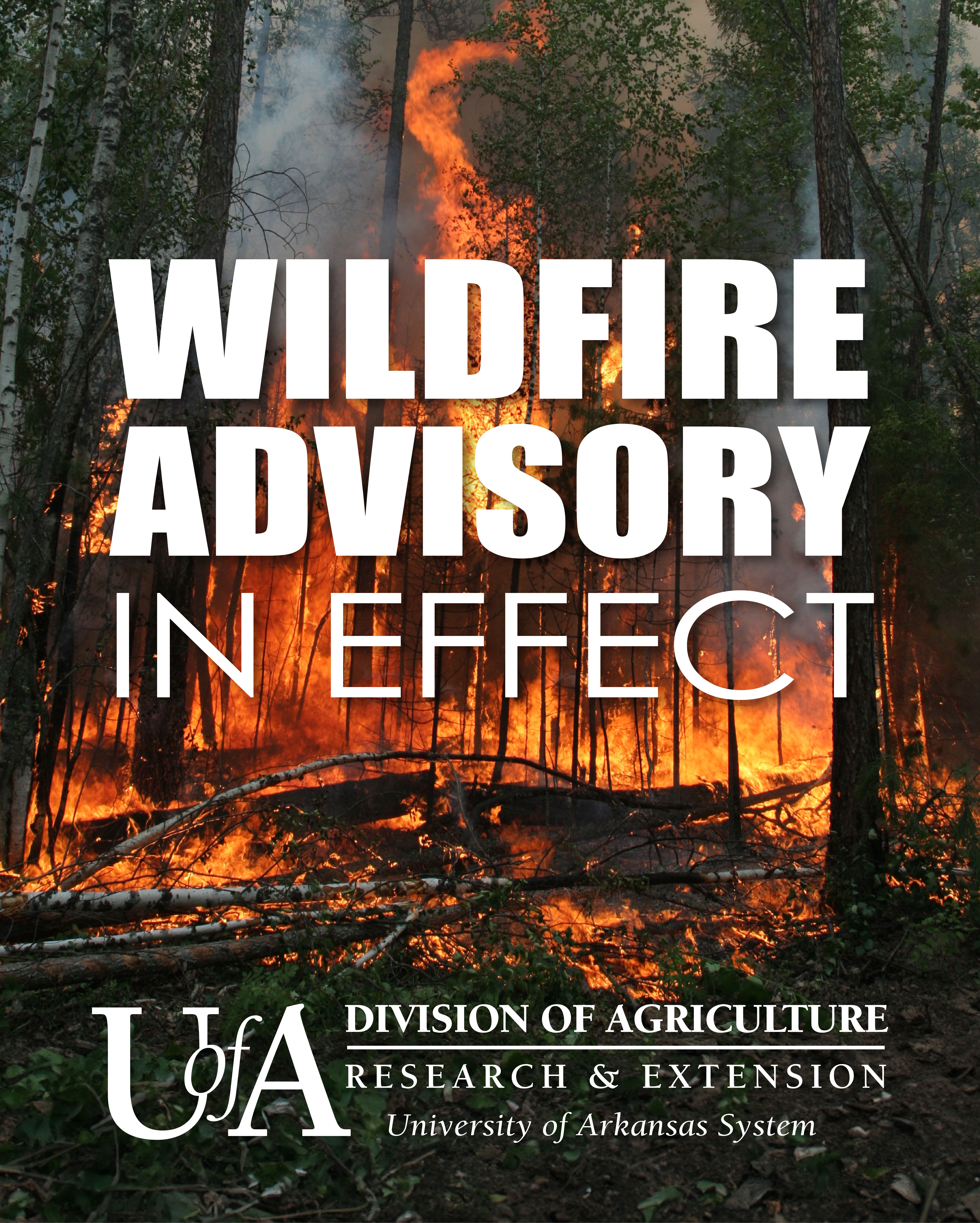 wildfire advisory