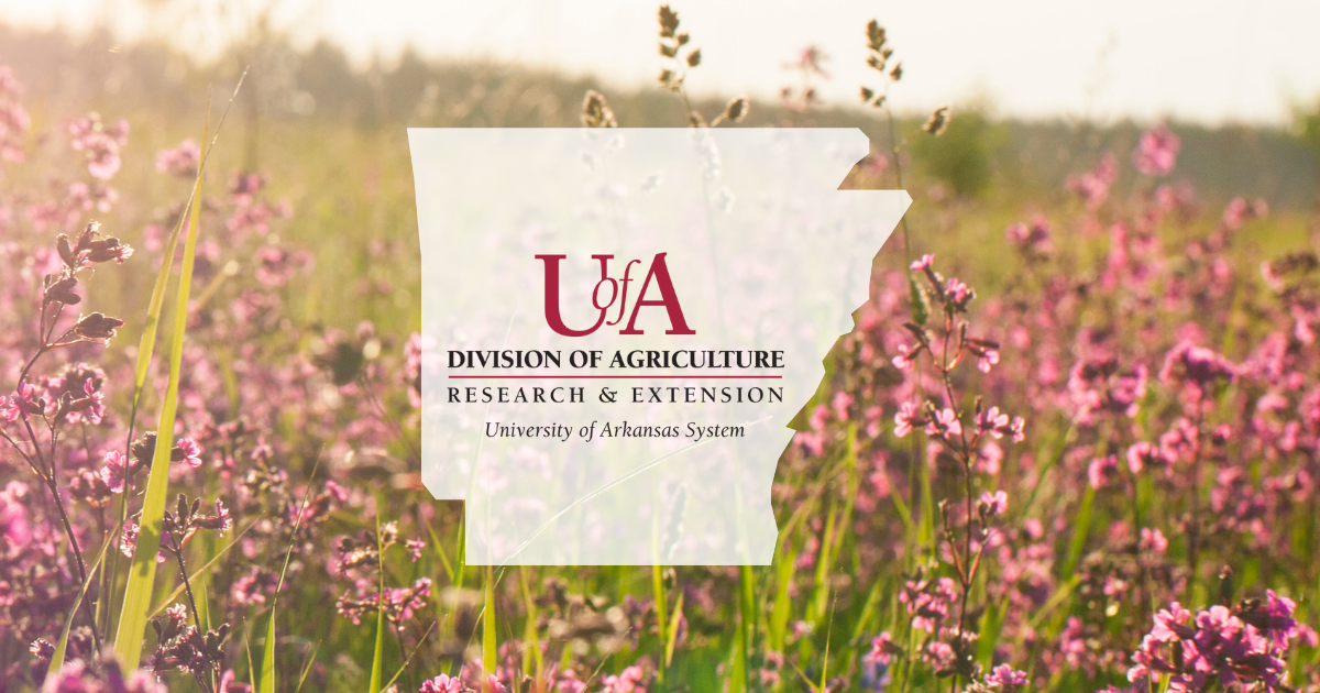 UADA wildflowers cover photo