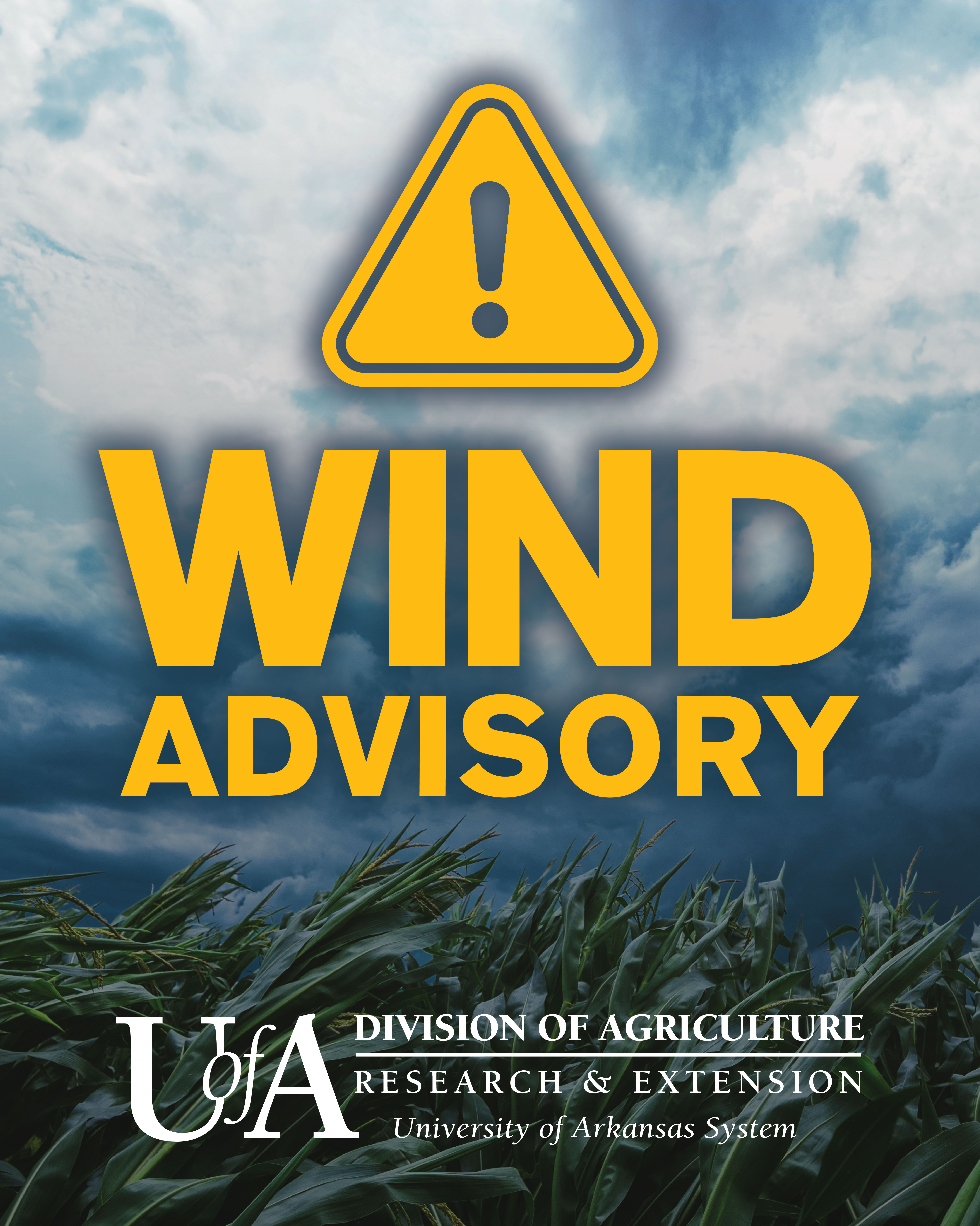 wind advisory