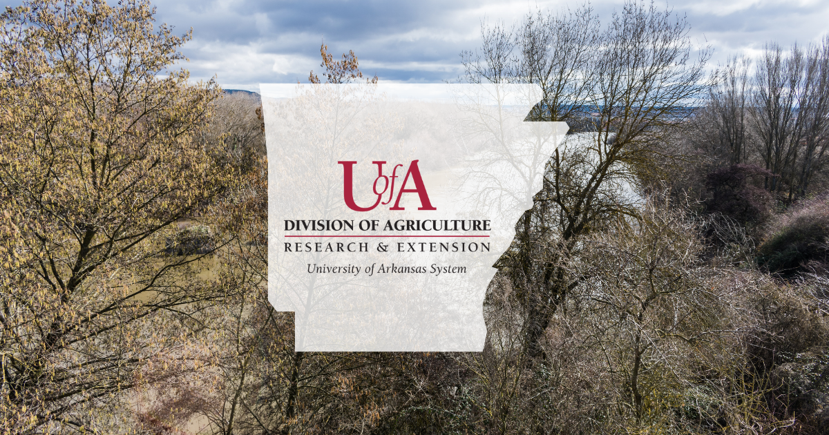 UADA winter trees cover photo