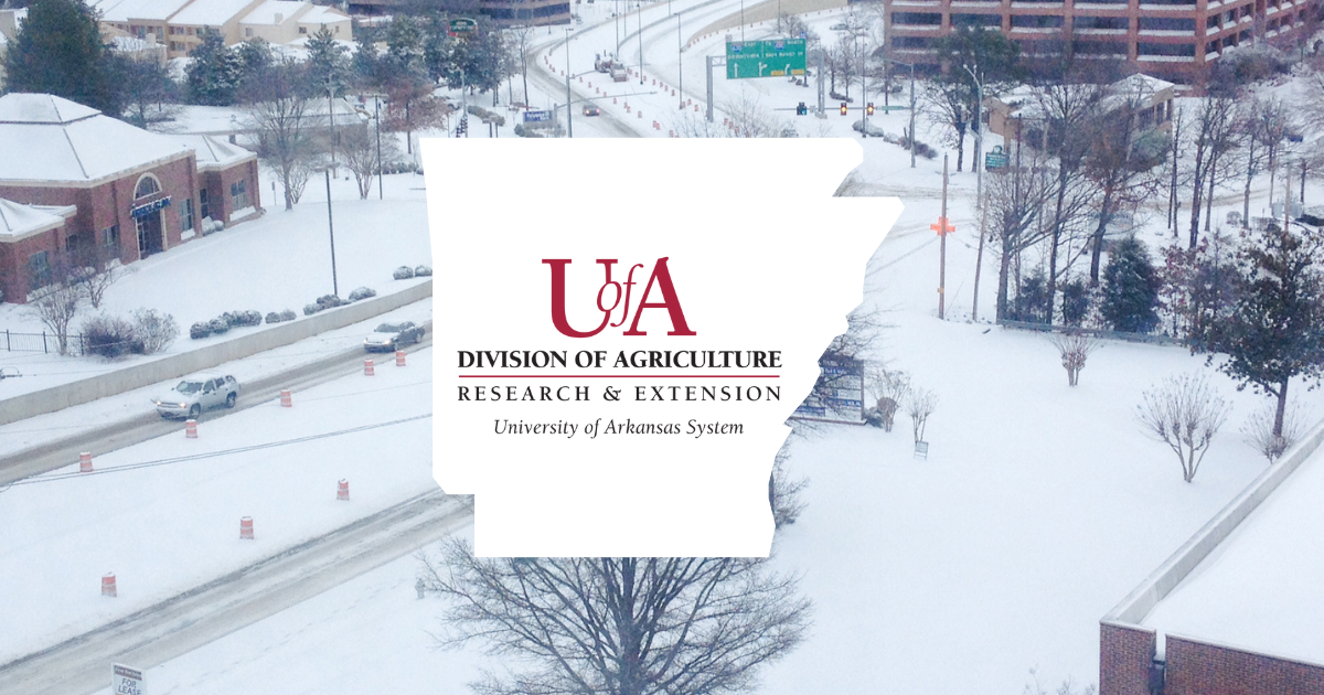 UADA winter weather 1 cover photo
