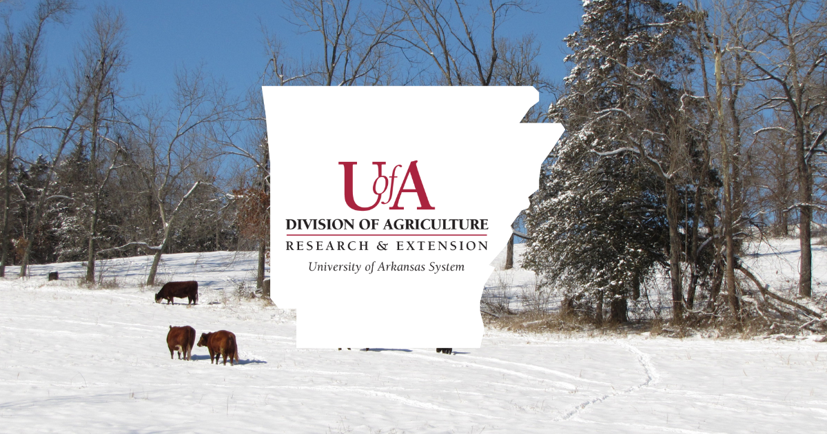 UADA winter weather 2 cover photo