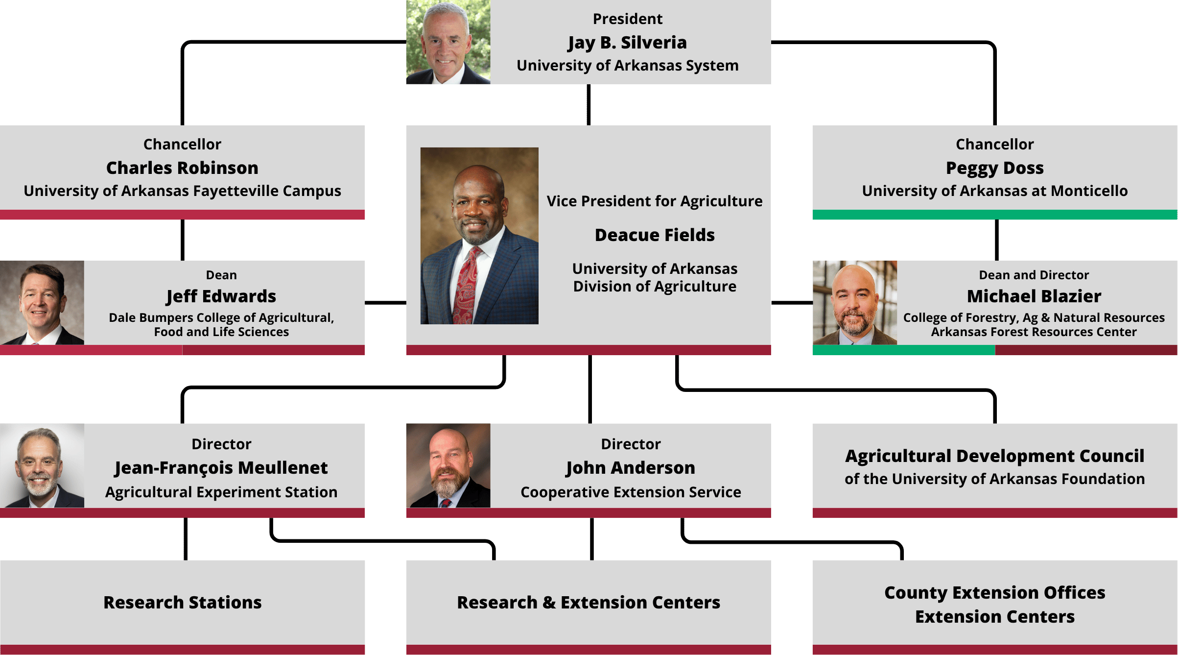 Org chart showing the University of Arkansas System President at the top, with lines to Chancellors and the VP for Agriculture, Deans, and Directors