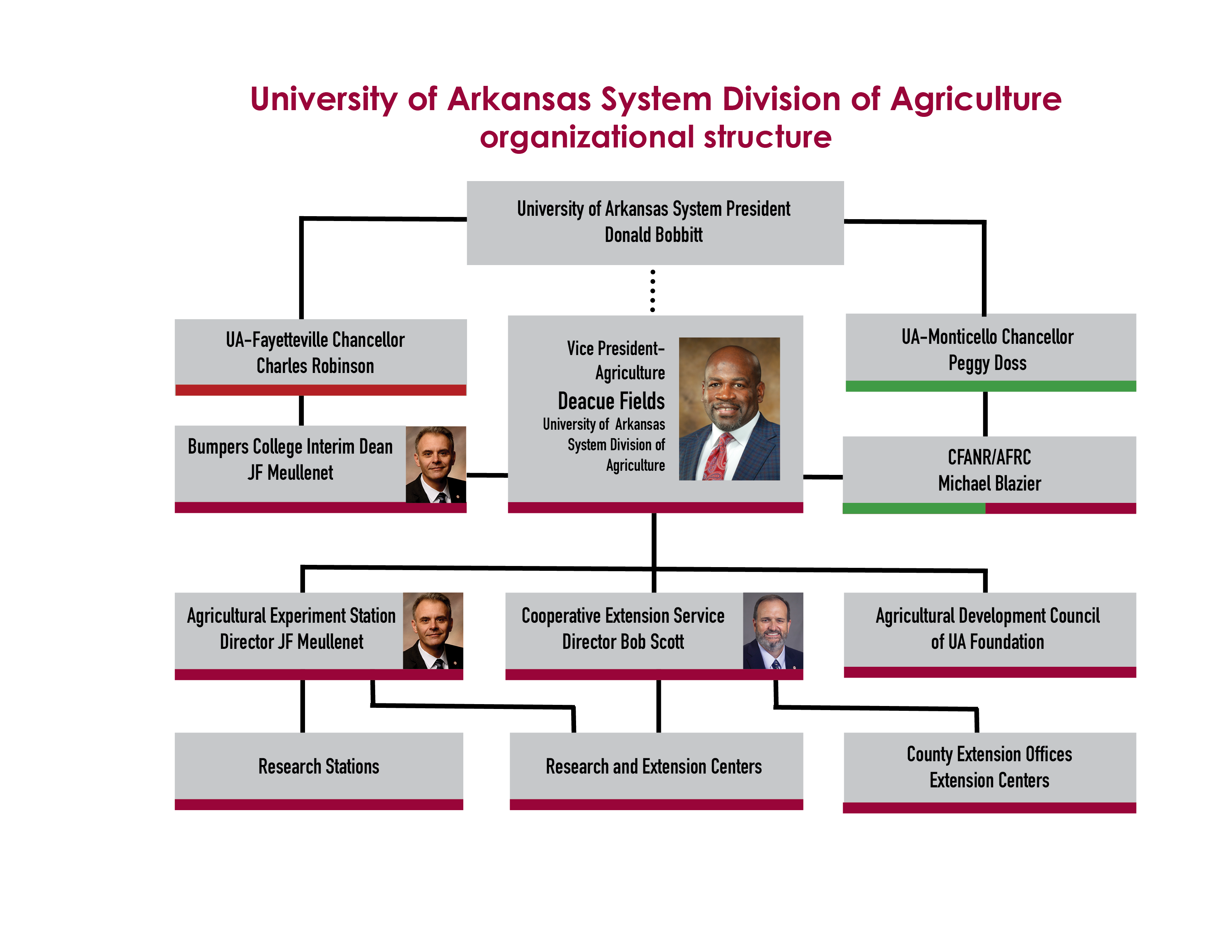 Organizational chart of the U of A System Division of Agriculture, showing the connections between the division, the system, the Arkansas Agricultural Experiment Station and the Cooperative Extension Service.